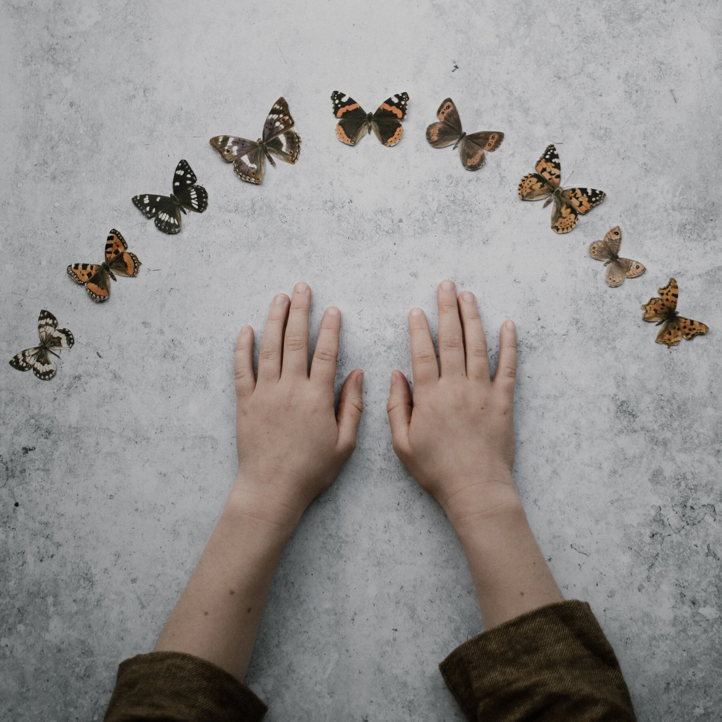 life-in-10-minutes-transformational-retreat-metamorphosis.jpg
