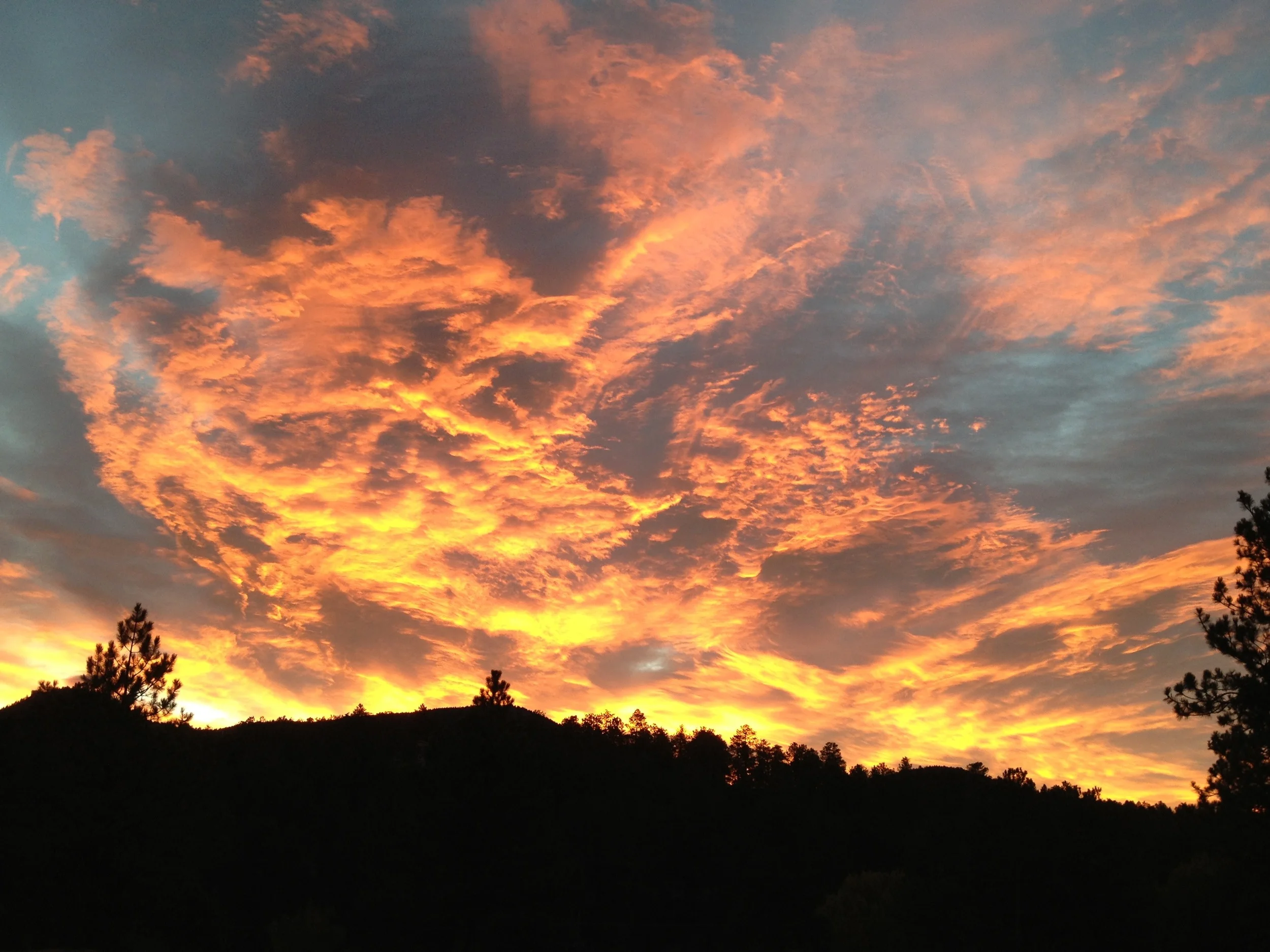 Revive Your Valiant Warrior