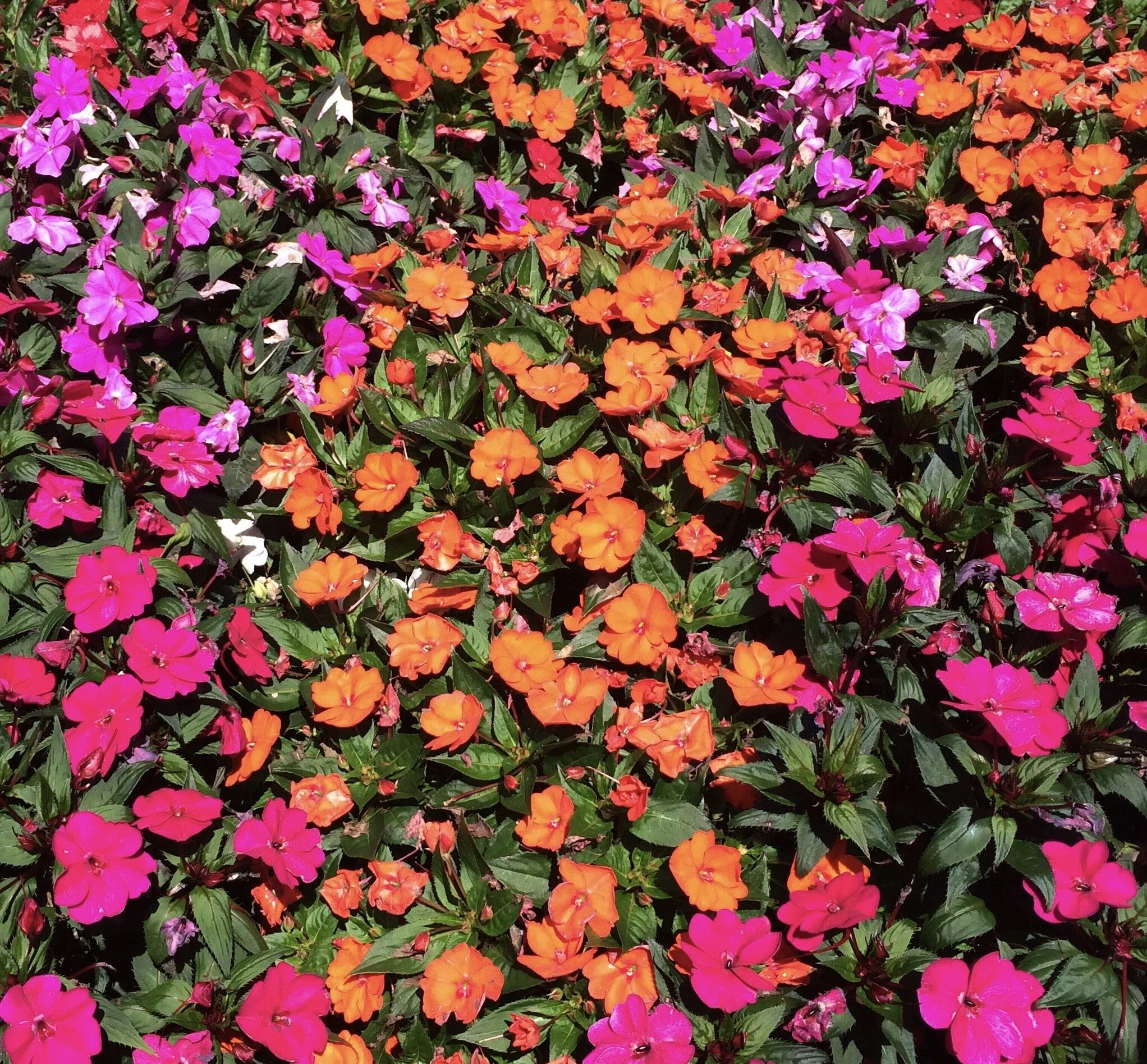 Grief's Sacred Passage