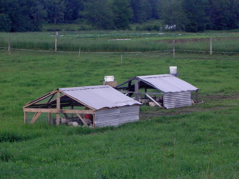 PICT4114.jpg