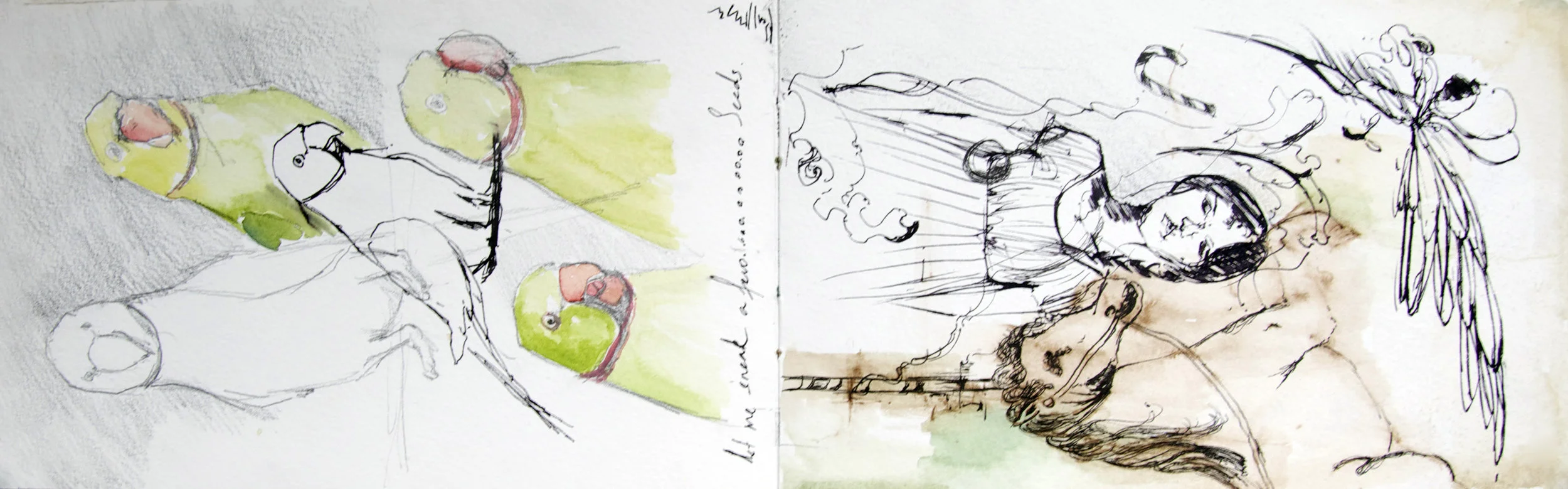 Sketch on Paper