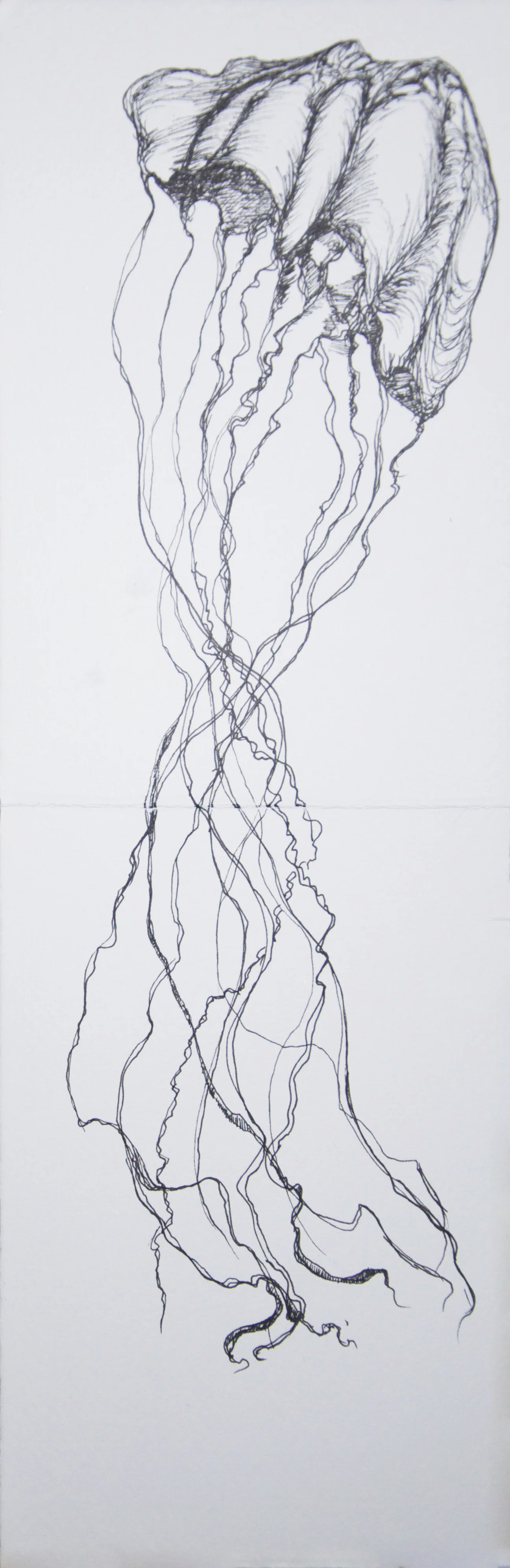 Sketch on Paper