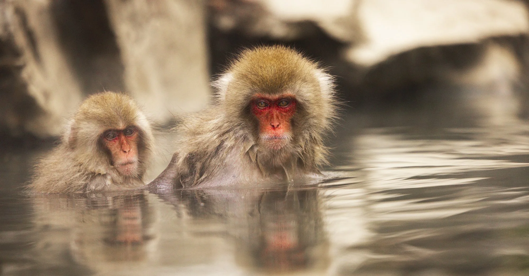 The hot springs soak
