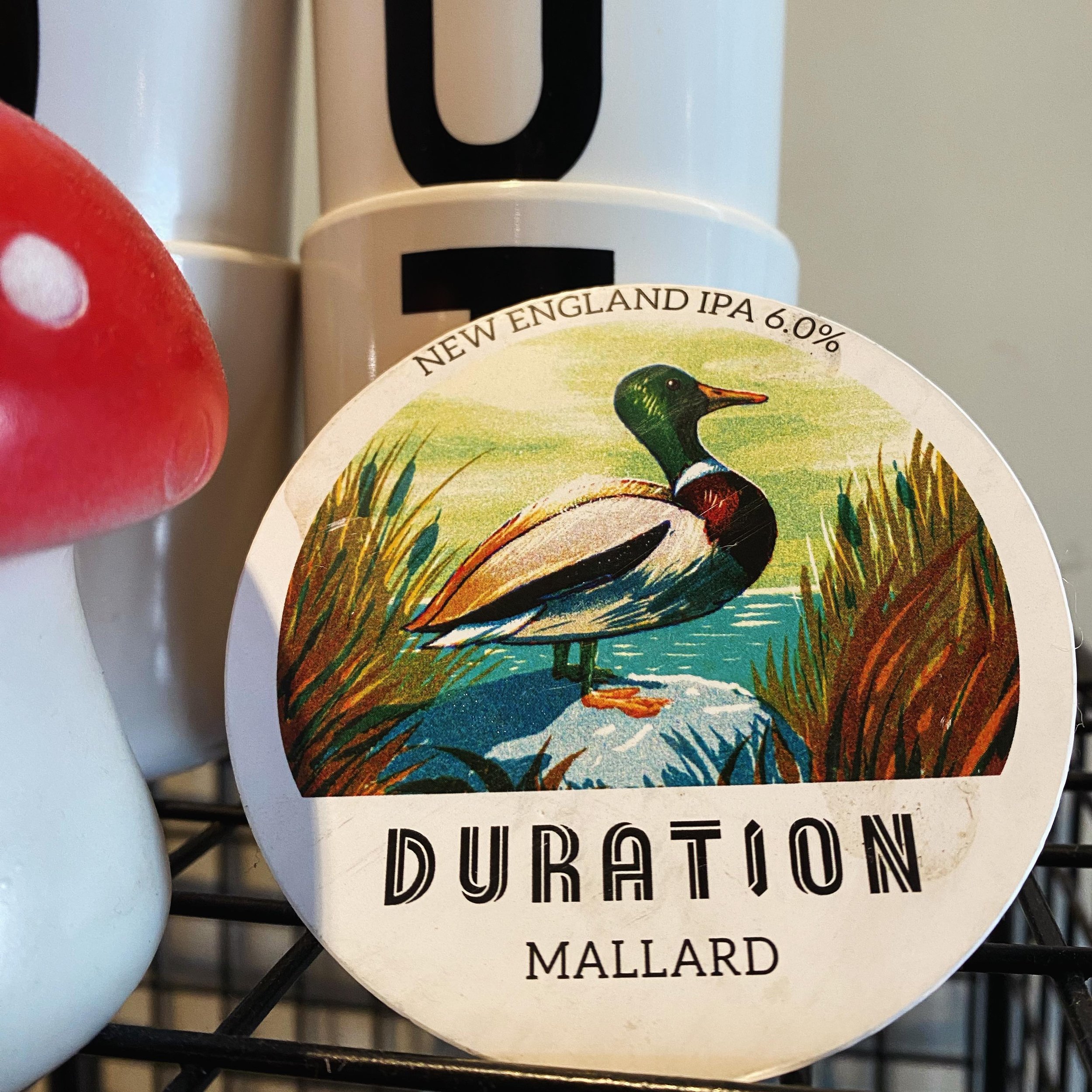 We had to sneak in one of our fav breweries #onthetaps before we left and couldn&rsquo;t resist this one duckies 🦆 Mallard from @durationbeer is a soft, juicy, hazy bodied #newenglandipa style full of mango, pineapple and citrus notes. Hops used inc