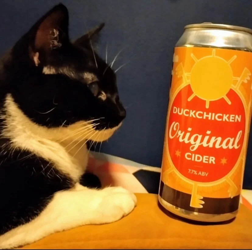 Saaz, the @duckchicken_cider quality assurance officer, has approved their Original Cider cans for our ticketed tasting event this Saturday. Alongside another 3 #ciders and one #Perry 🍎🍐😻Nov 30th 8.30pm, &pound;15pp, tickets available from the lin
