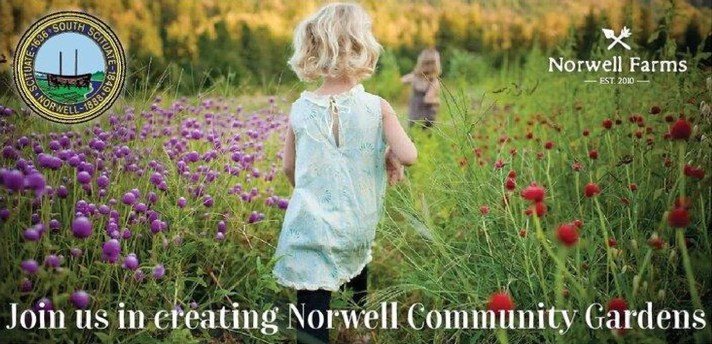 About Norwell Community Gardens — Norwell Farms