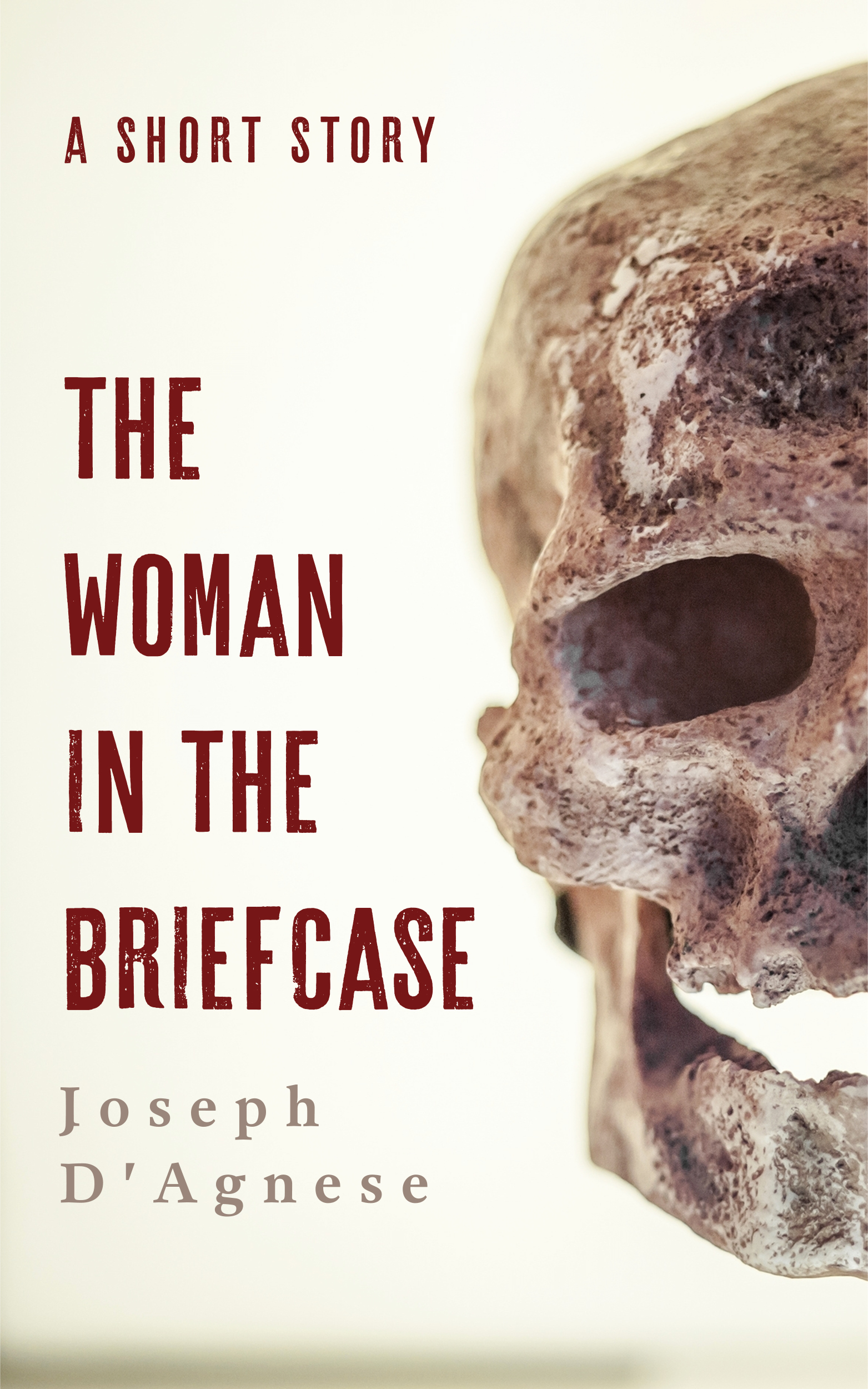 The Woman in the Briefcase by Joseph D'Agnese