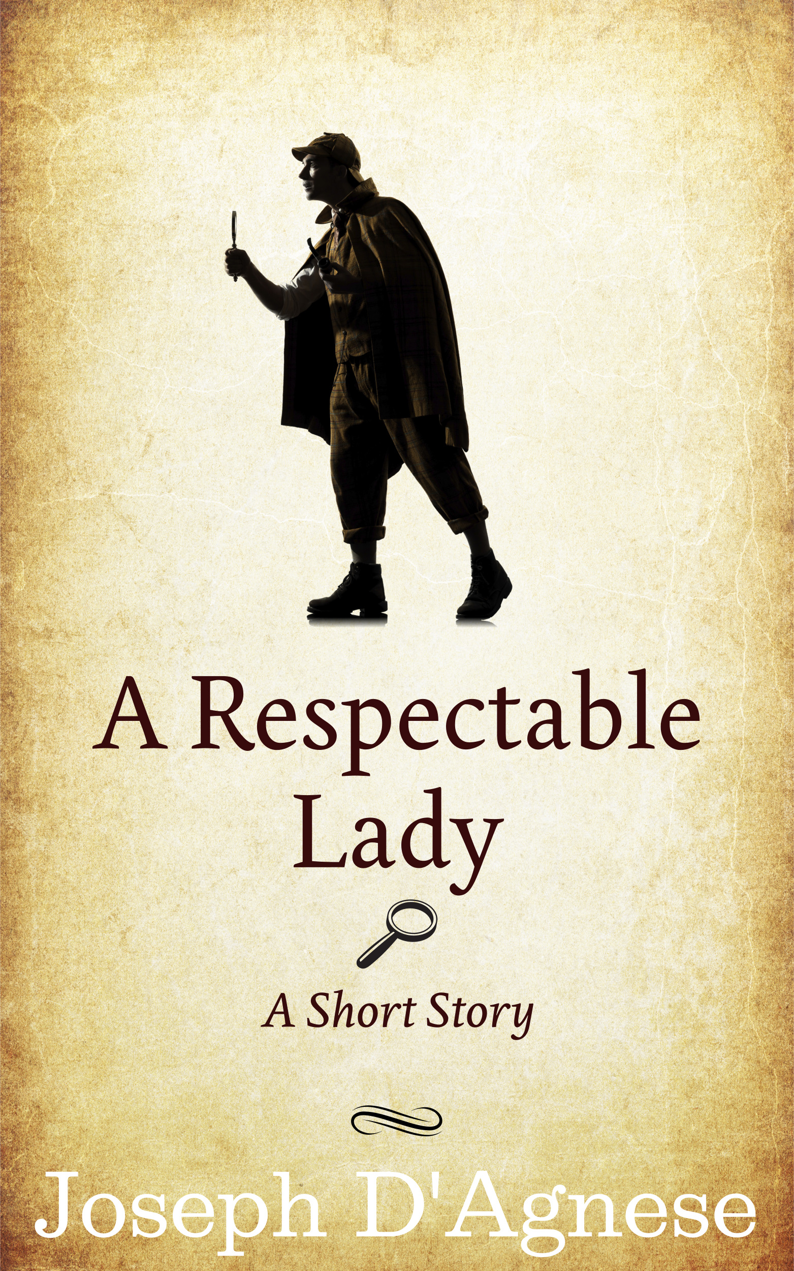 A Respectable Lady by Joseph D'Agnese