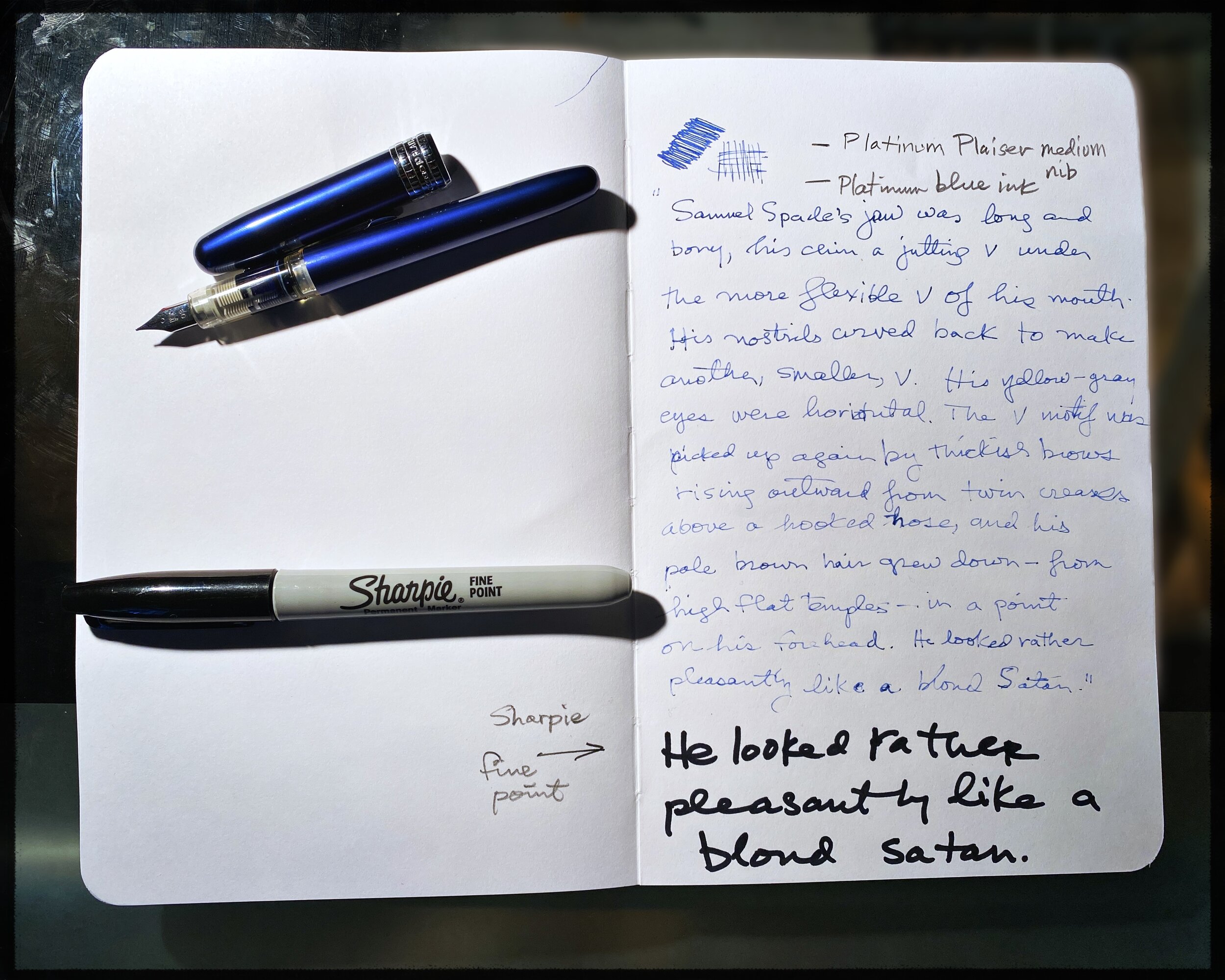 Review: The Nomi Notebook — Joseph D'Agnese