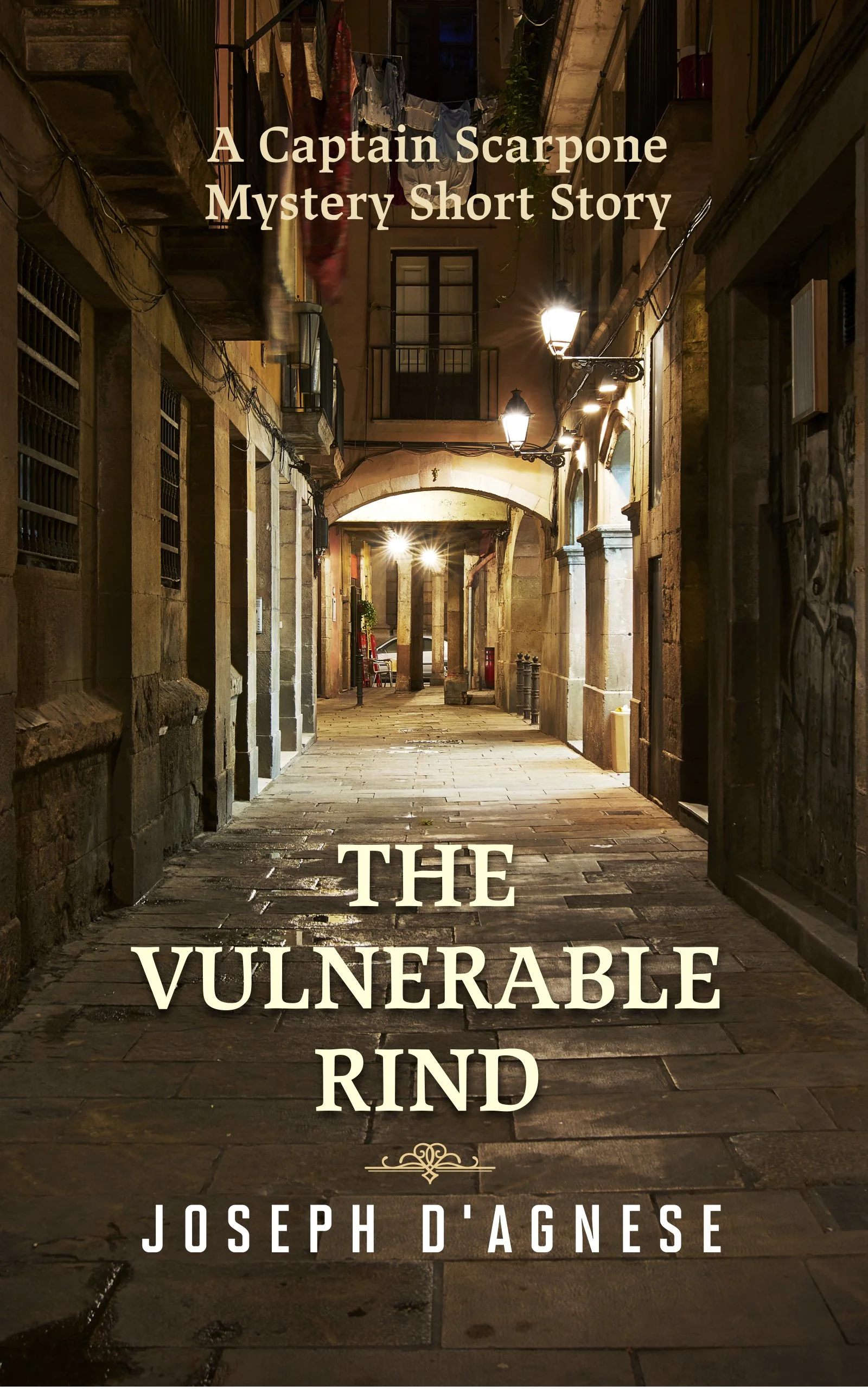 THE VULNERABLE RIND - Kindle - High Resolution.jpg