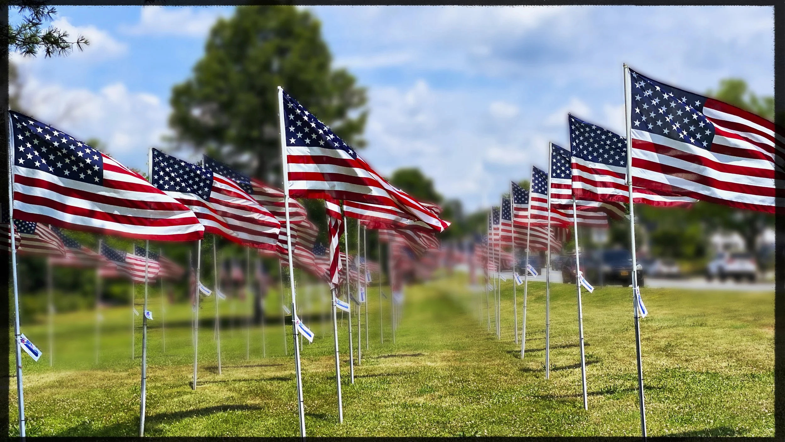 Obstinate Daughters Cover Reveal