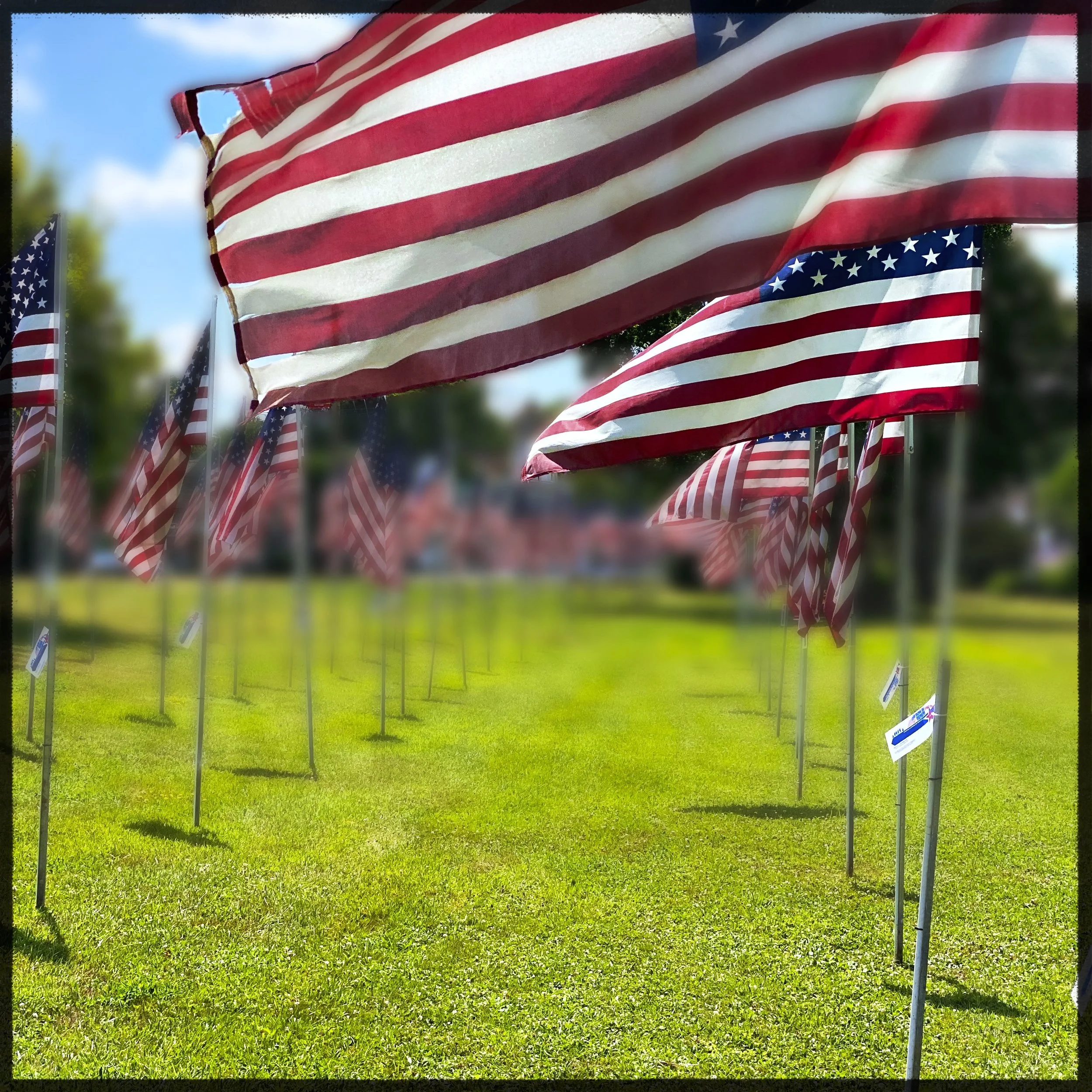 Obstinate Daughters Giveaway: LIVE NOW!