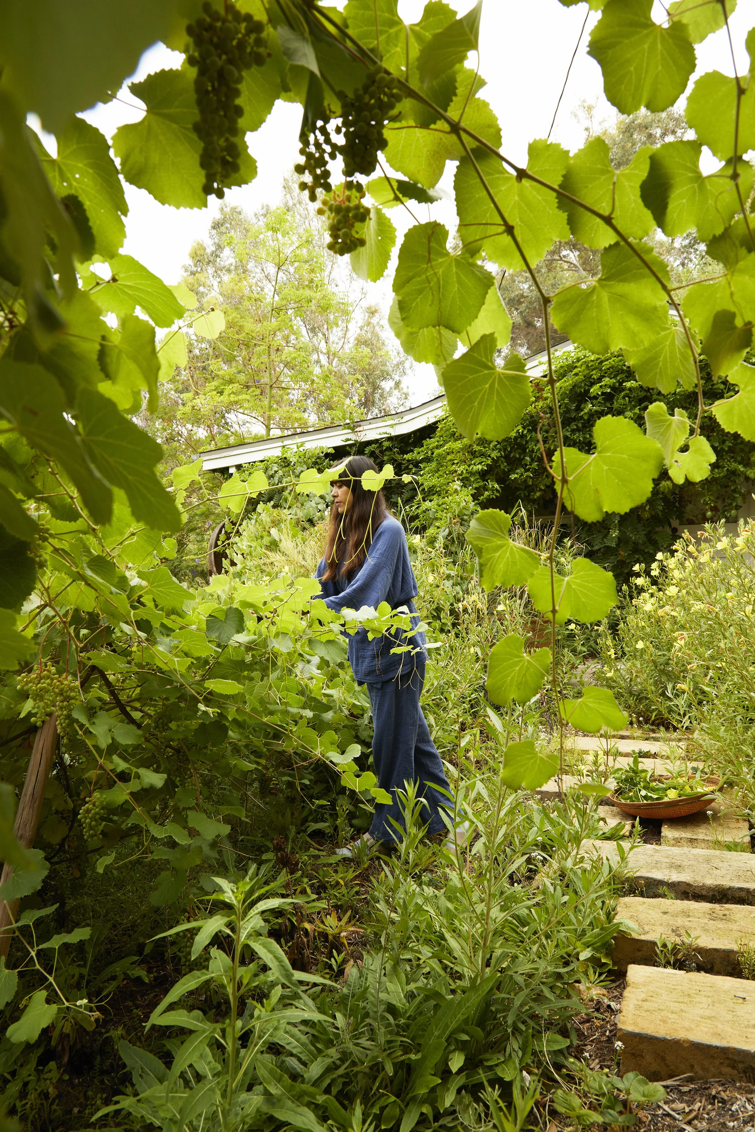 Ash Conejo Herbalist - Flamingo Estate
