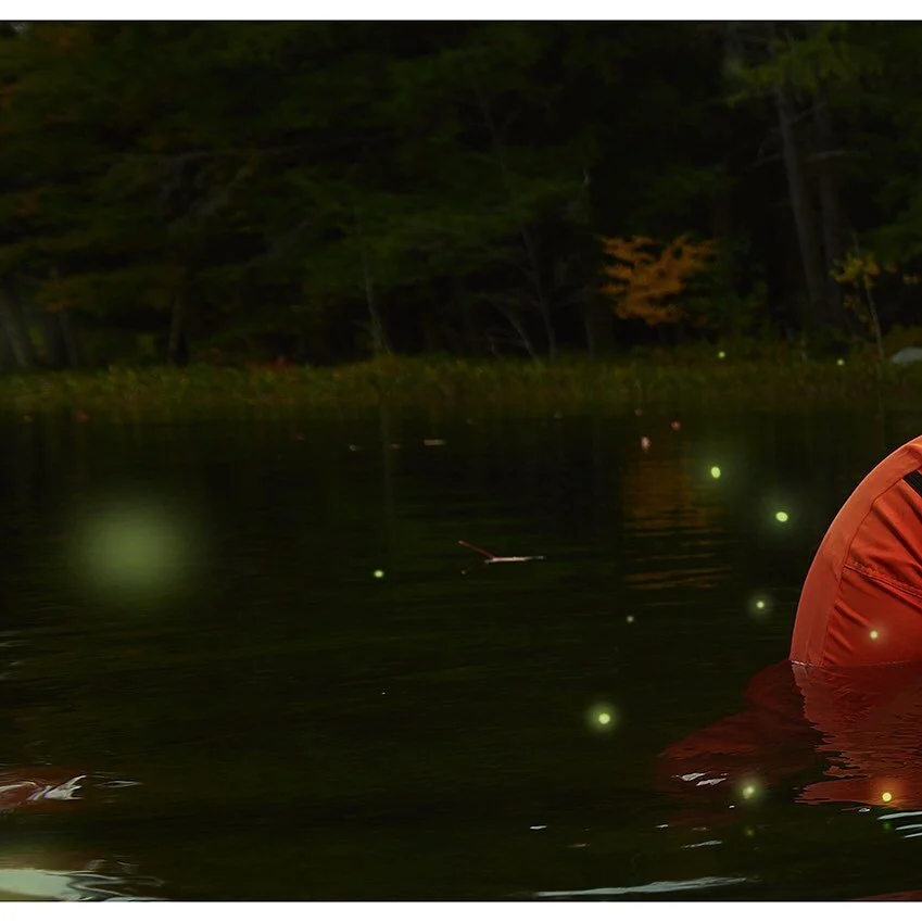 The truth is that 2021 will not change anything if we don't change ourselves. We need to engage directly with the realities that brought the misfortunes of 2020 upon us. 

Perhaps the most important is the destruction of wildlife habitats which is li