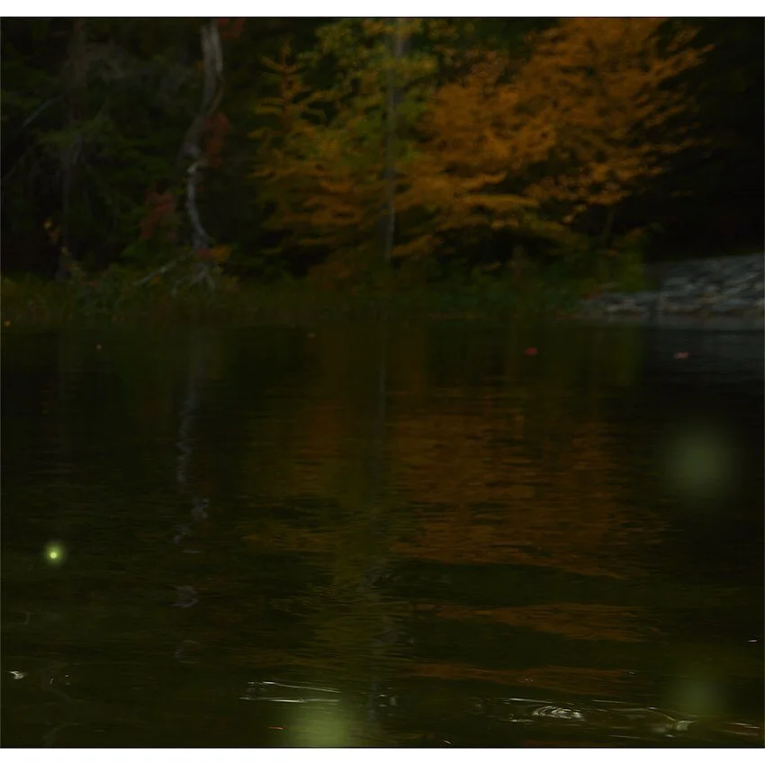 The truth is that 2021 will not change anything if we don't change ourselves. We need to engage directly with the realities that brought the misfortunes of 2020 upon us. 

Perhaps the most important is the destruction of wildlife habitats which is li