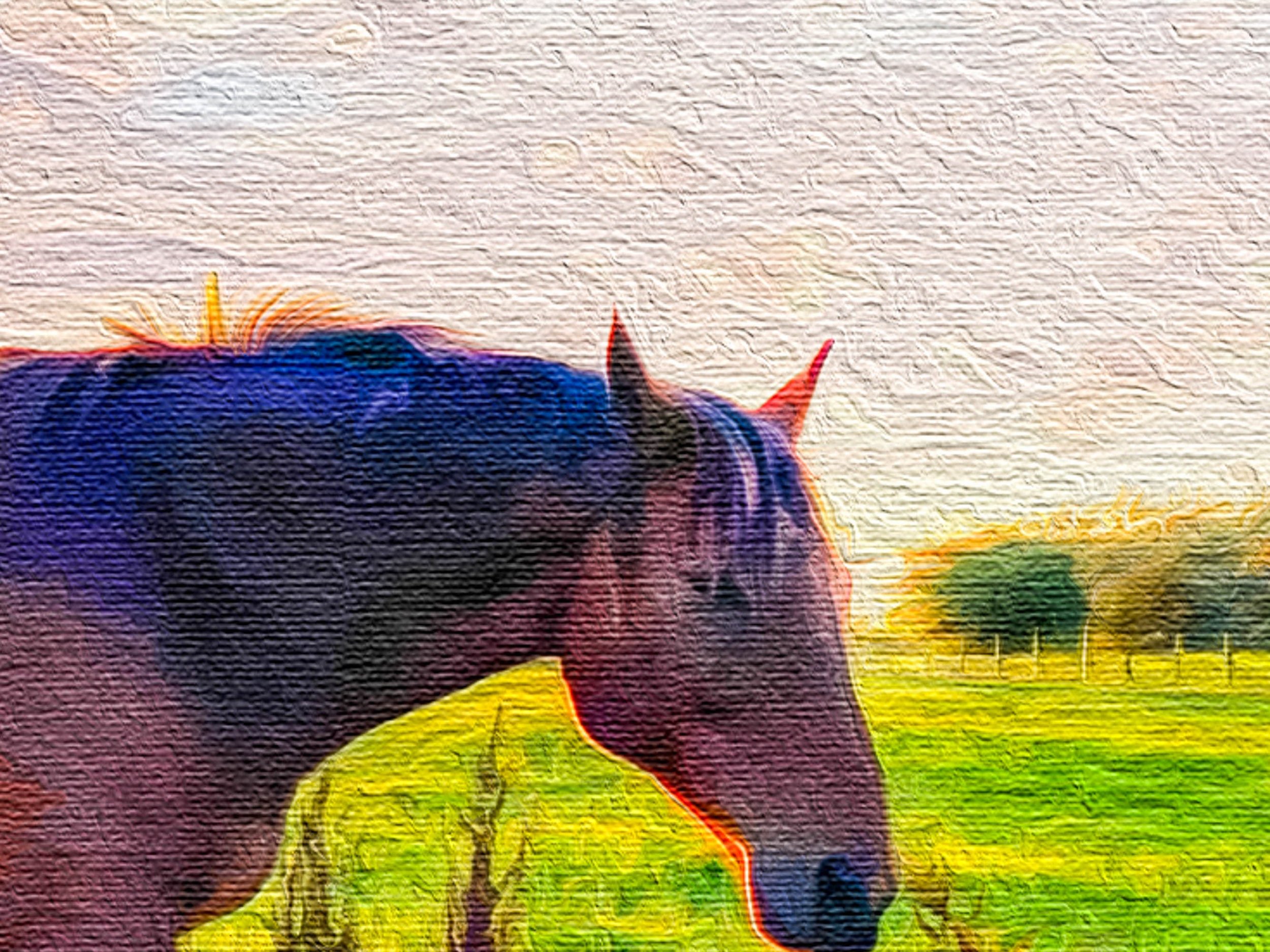 https://i.etsystatic.com/33640390/r/il/cc011e/3577096490/il_fullxfull.3577096490_csp4.jpg