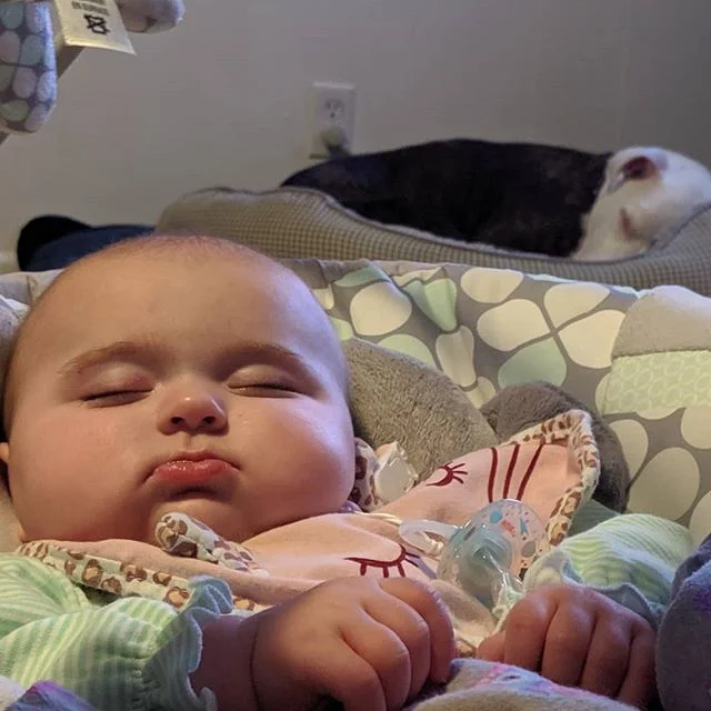 My favorites snoozing.