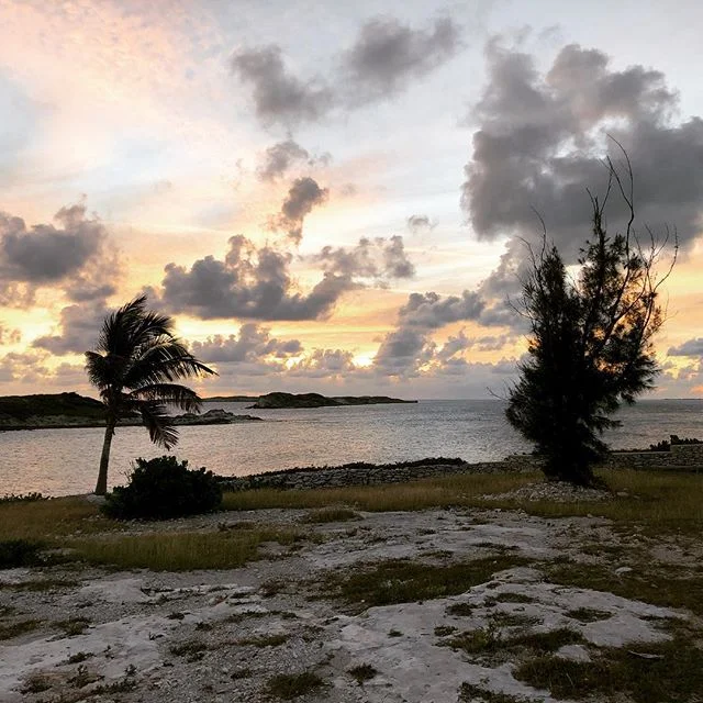 I love Brooklyn, but The Dolphin Grill in South Caicos doesn’t suck.