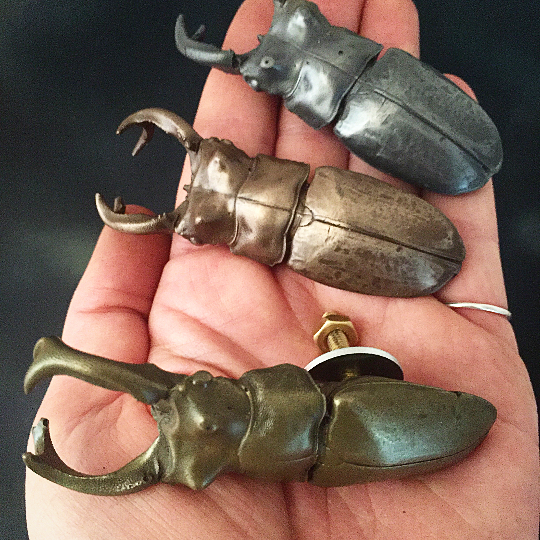Adding these to the shop today - cast from a real stag beetle, these cabinet knobs/ drawer pulls come in antique brass, bronze, and stainless steel. Link to Etsy shop in bio β¨π#metalsmith #stagbeetle #taxidermy #taxidermyjewelry #etsy #handmade #handcrafted #hardware #drawerpulls #cabinetmaking #bronzesculpture #insectagram #casting #instasmith #instasmithy #ladysmith #lostwax #etymology
