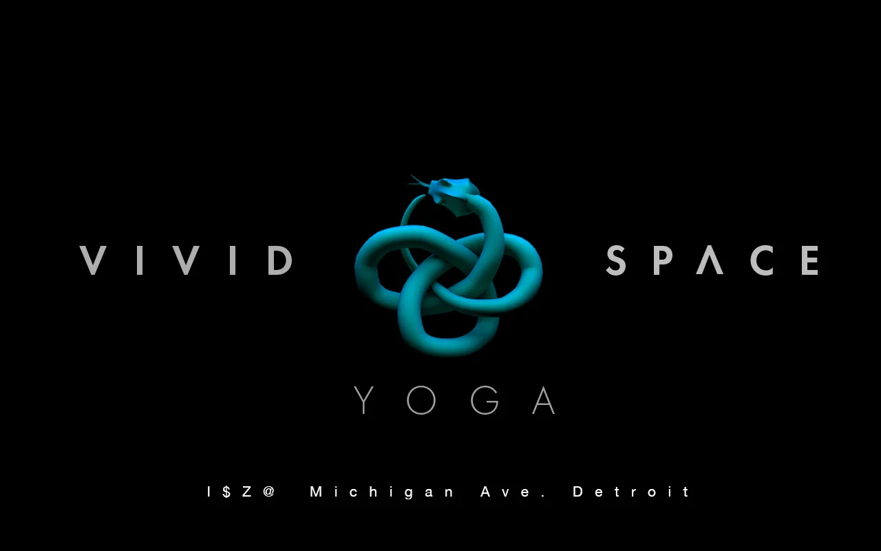 VIVID SPACE LOGO CONCEPT