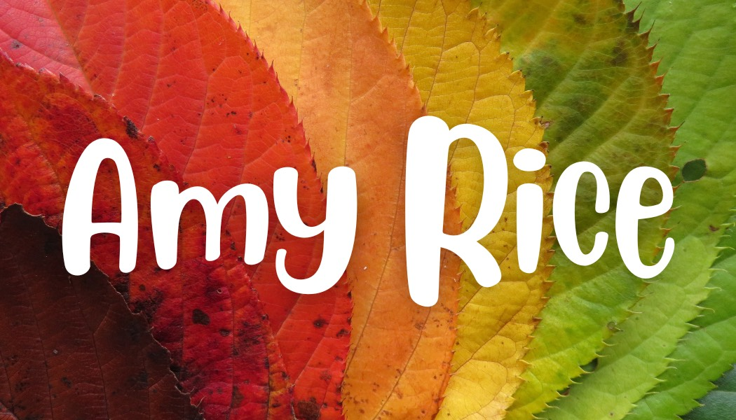 Amy Rice PCSI Golf Outing Sponsor 2023 .png