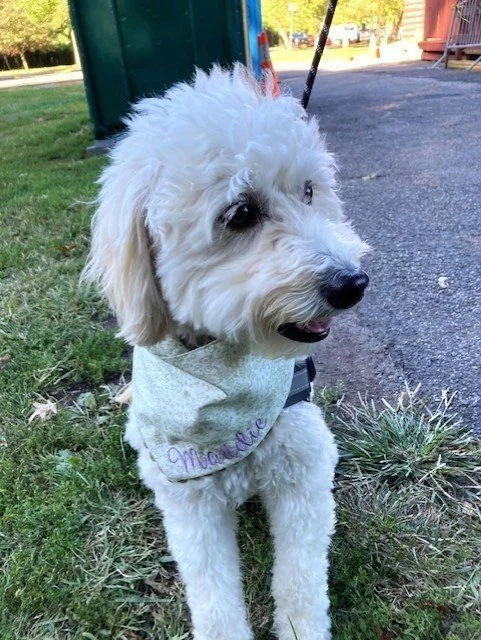 Maddie