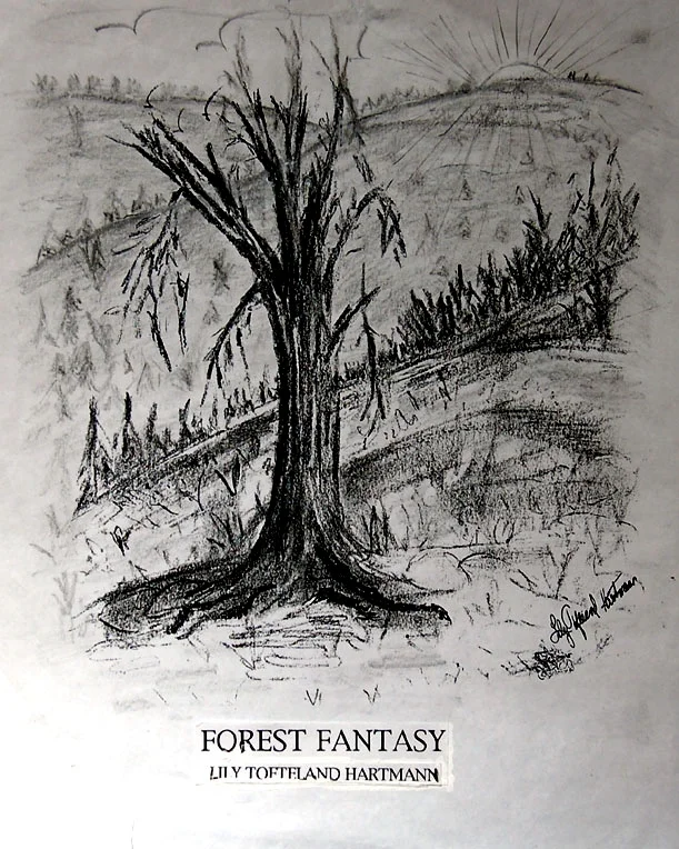 49 forest fantasy- pencil.jpg