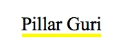 Pillar Guri title.jpg