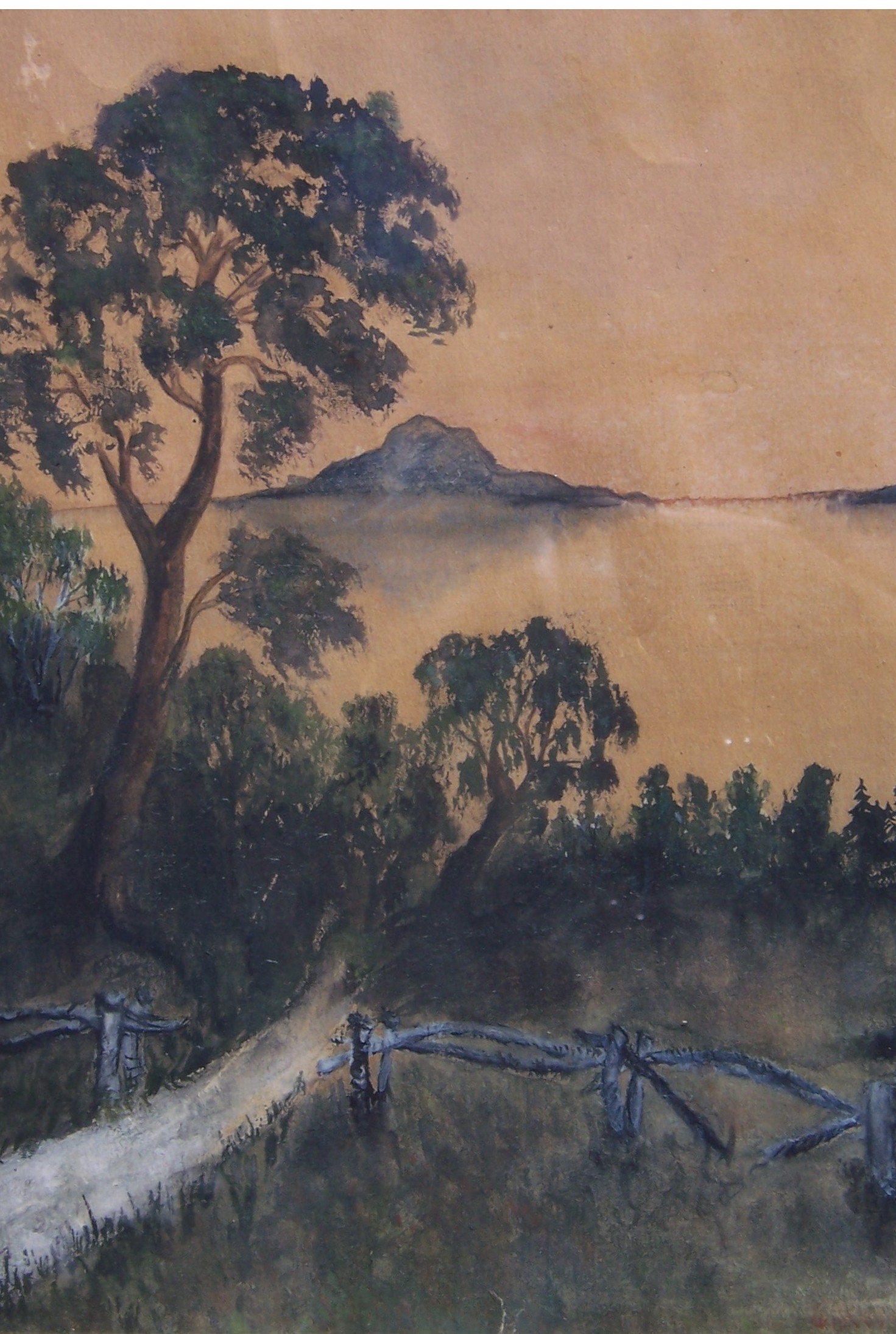 The Peaceful Pathway