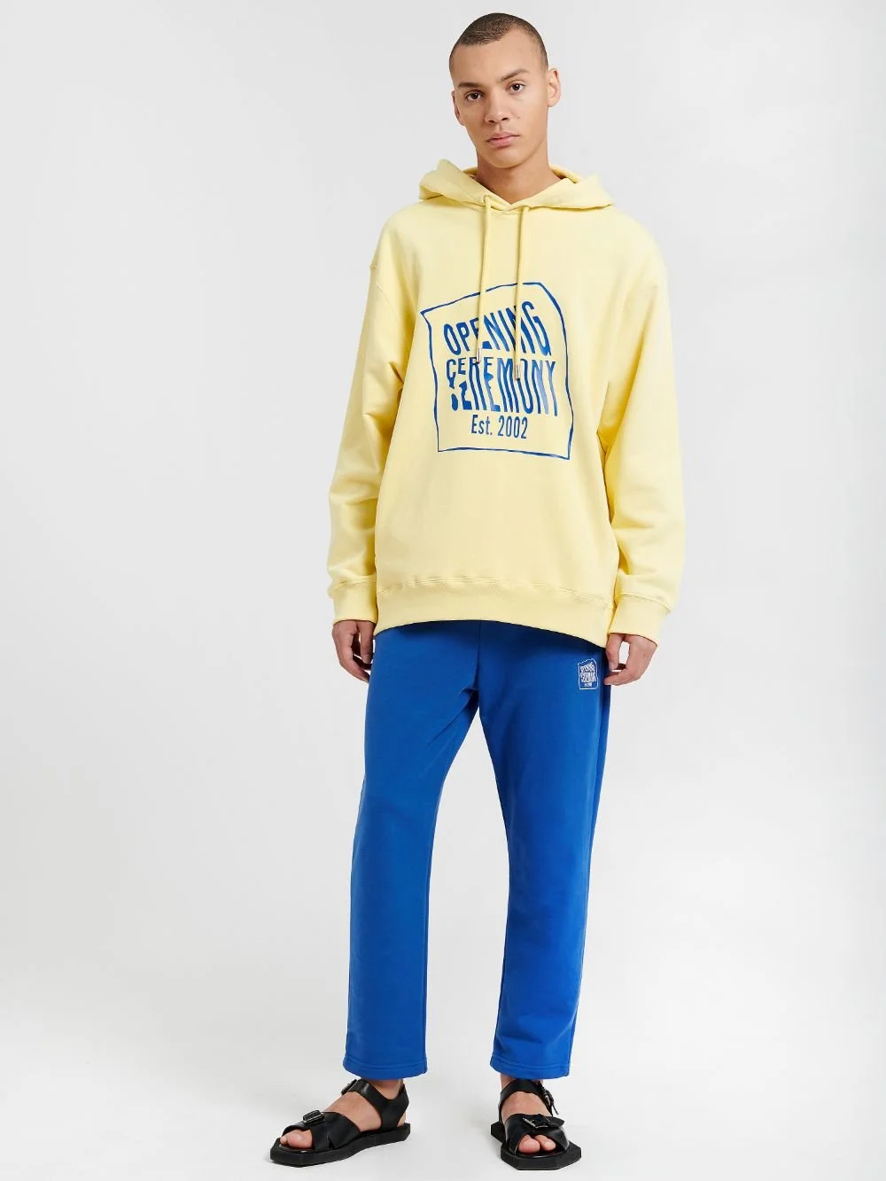 opening-ceremony-warped-logo-hoodie_16245704_31624240_1000.jpg