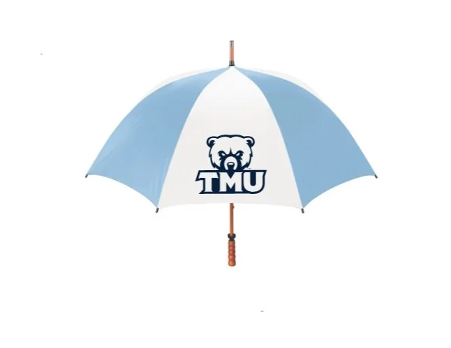 umbrella-1+%281%29.jpg