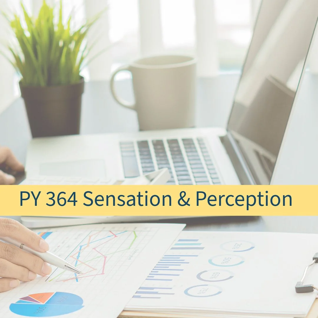 Untitled - 2026-01-14T093048_edited.jpg