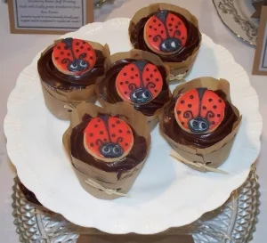 Cupcakes with Ladybug Cookies
