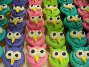 Owl Faces