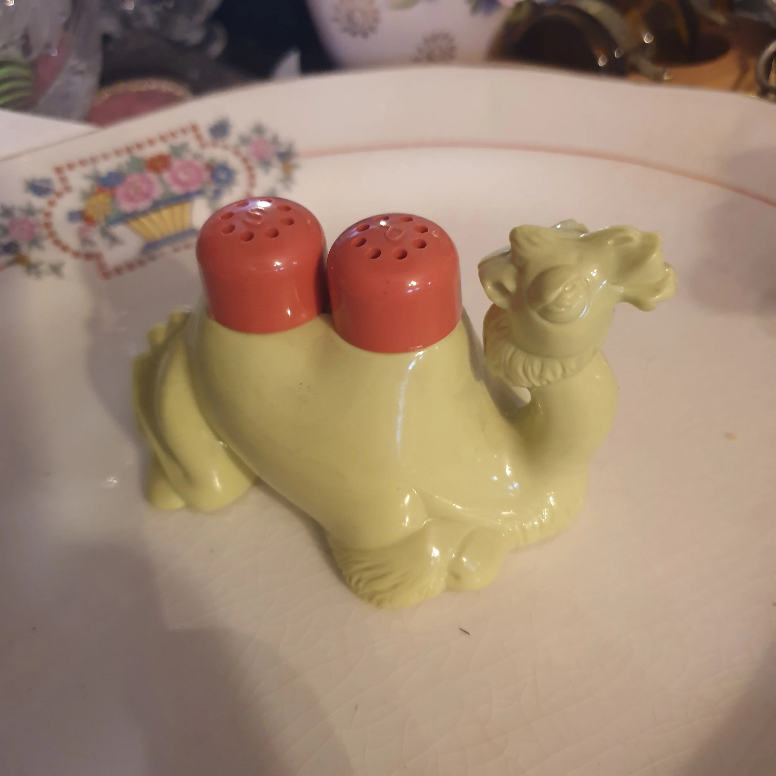 IMG_6918.jpeg