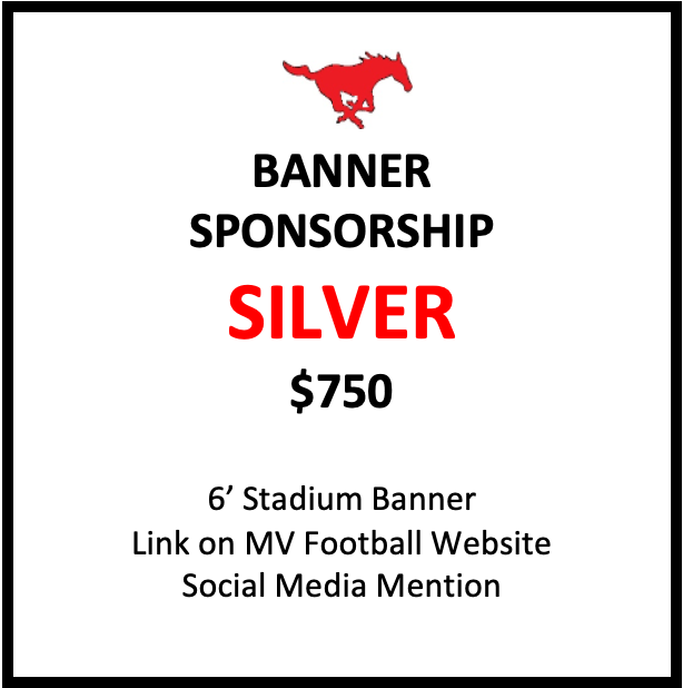 Silver Sponsor