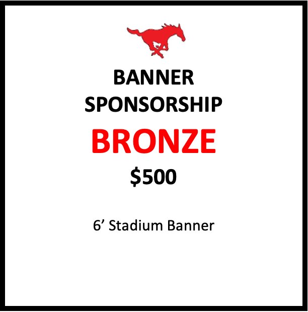 Bronze Sponsorship