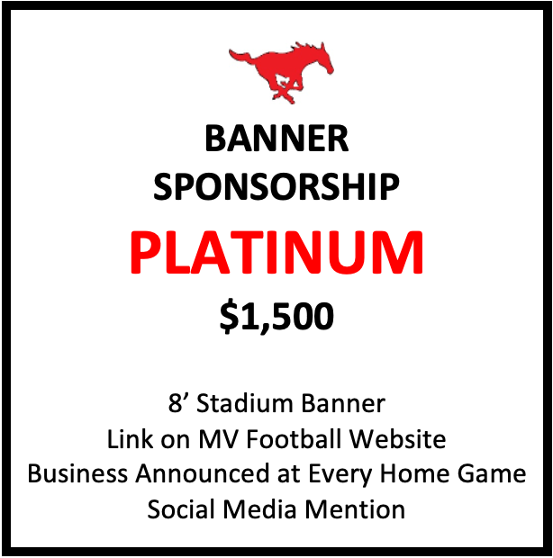 Platinum Sponsorship