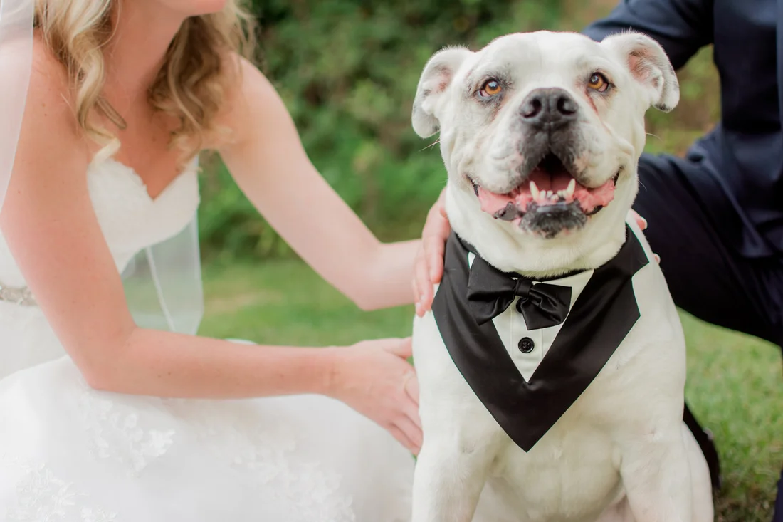 bnp-maryland-wedding-photographer.jpg
