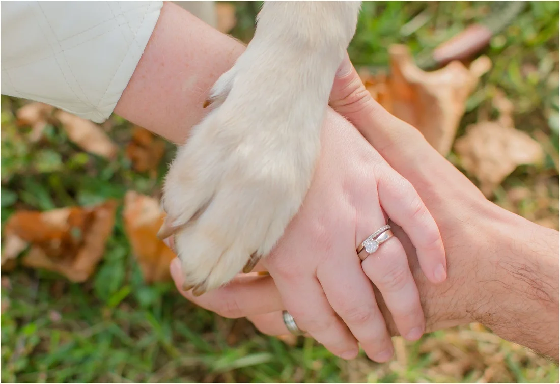 bnp-maryland-family-photographer.jpg