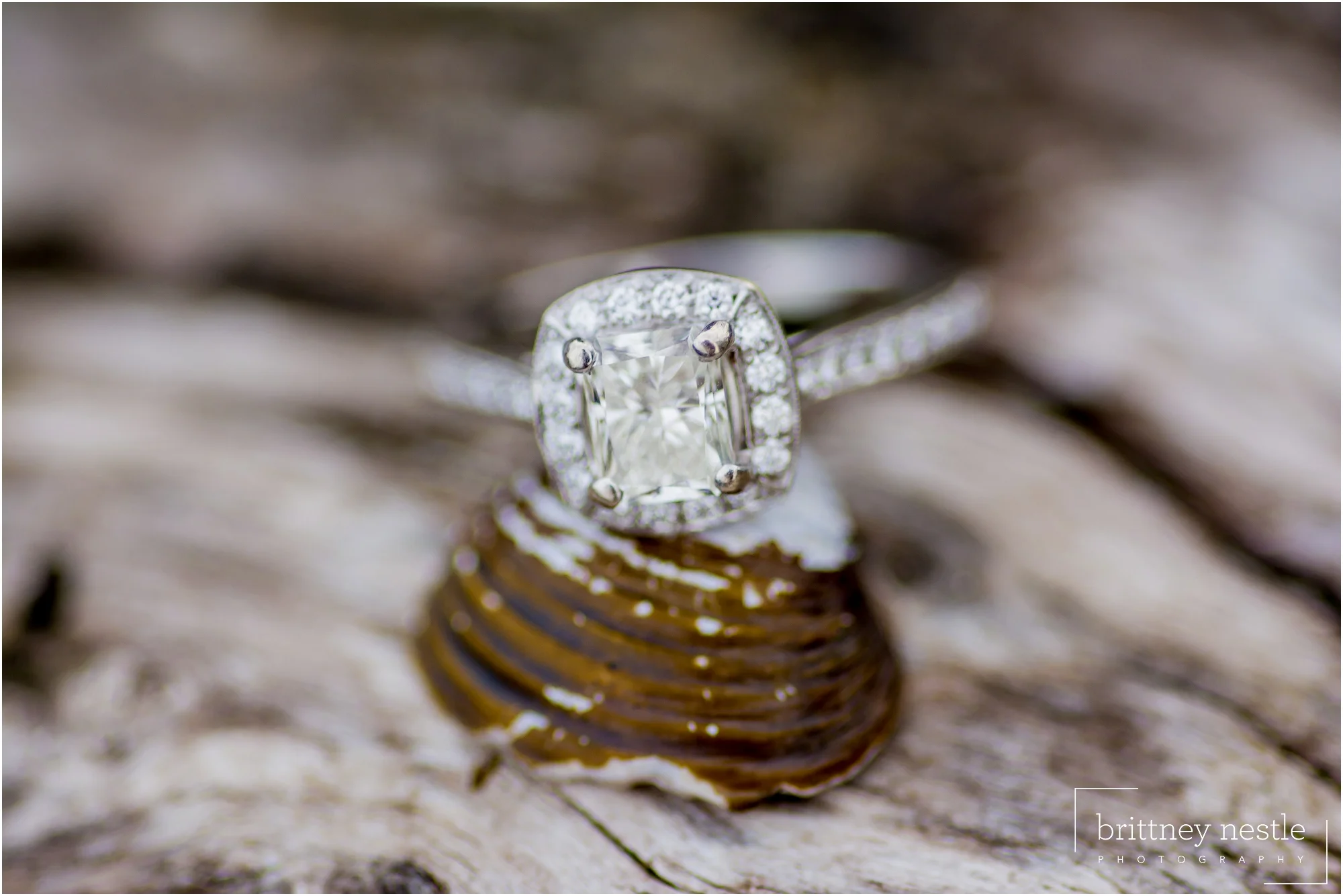 BNP_Tydings-Park-engagement.jpg