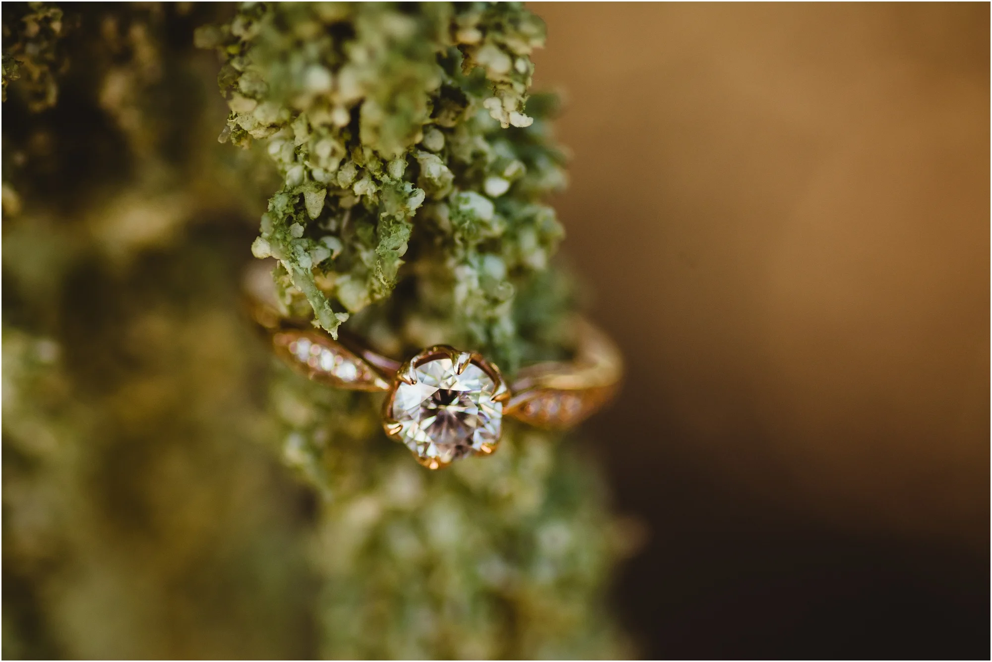 bnp-behnke-engagament-ellicott-city.jpg