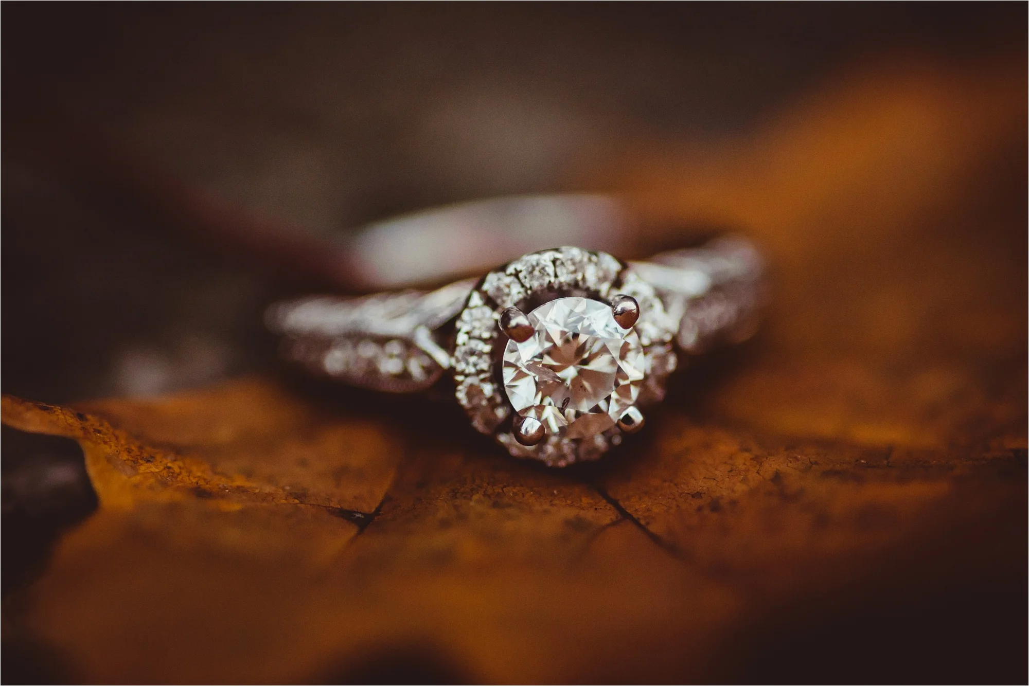 brittney-nestle-photo-josh-and-jacqueline-engagement-at-patapsco-state-park.jpg