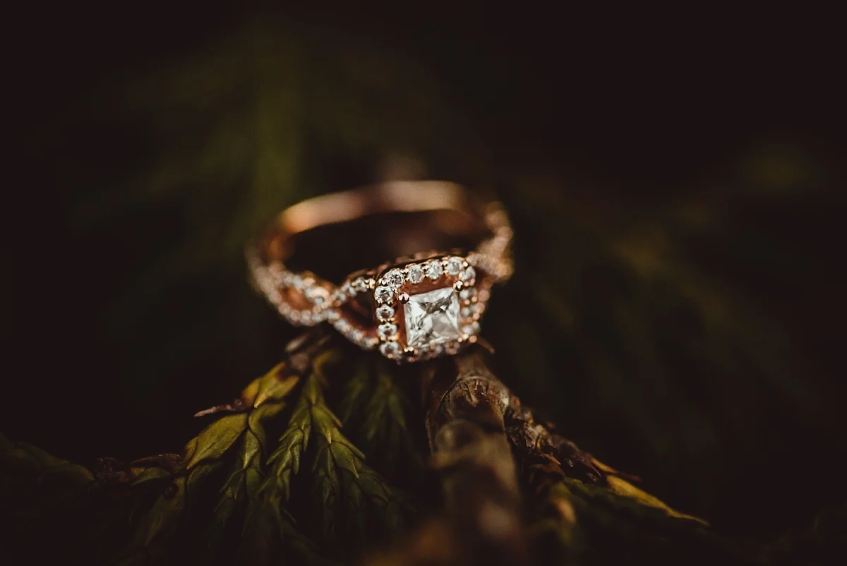 brittney-nestle-photo-engagement-stone-ridge-hollow-leftridge.jpg