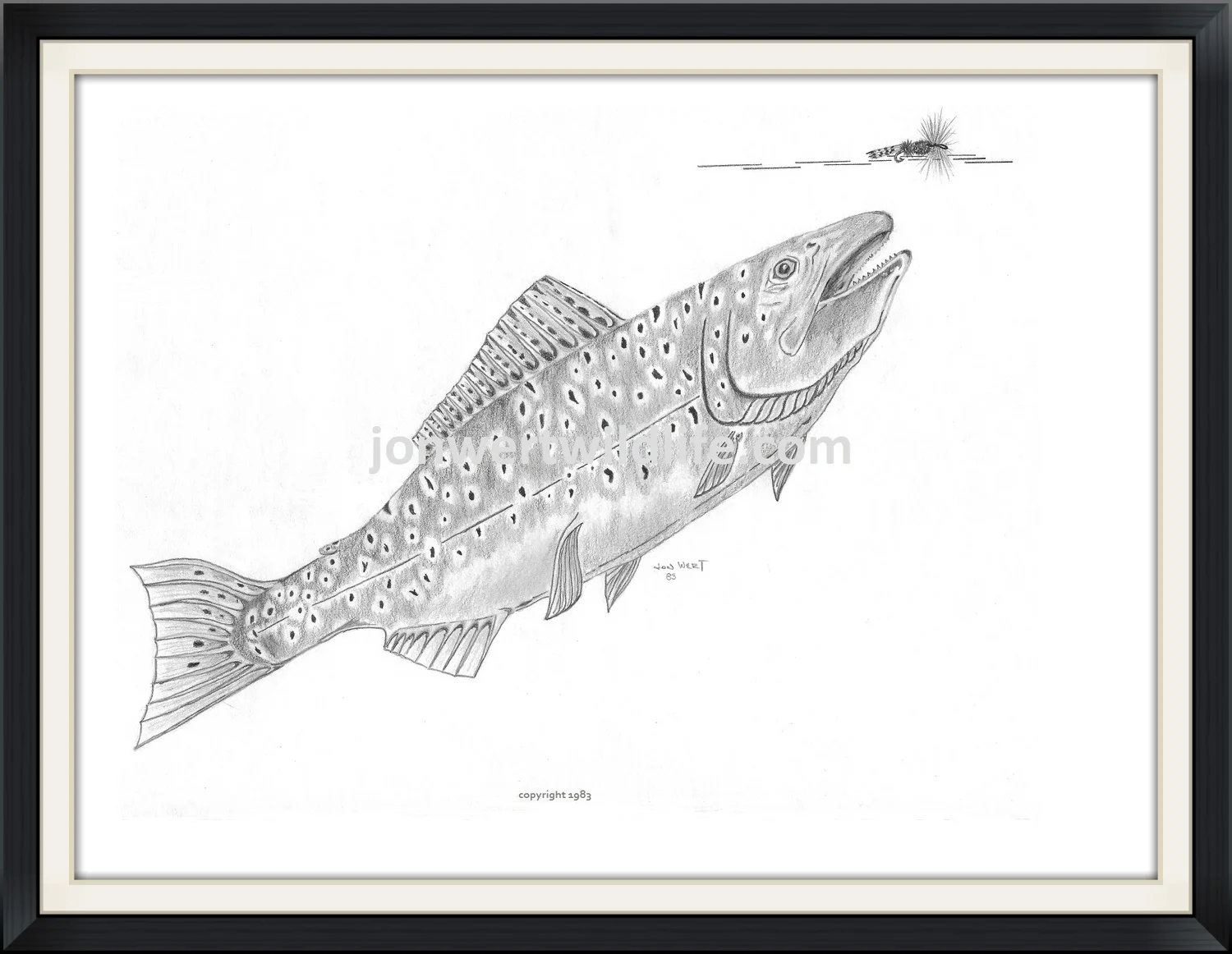 BROWN TROUT - Copy.jpg