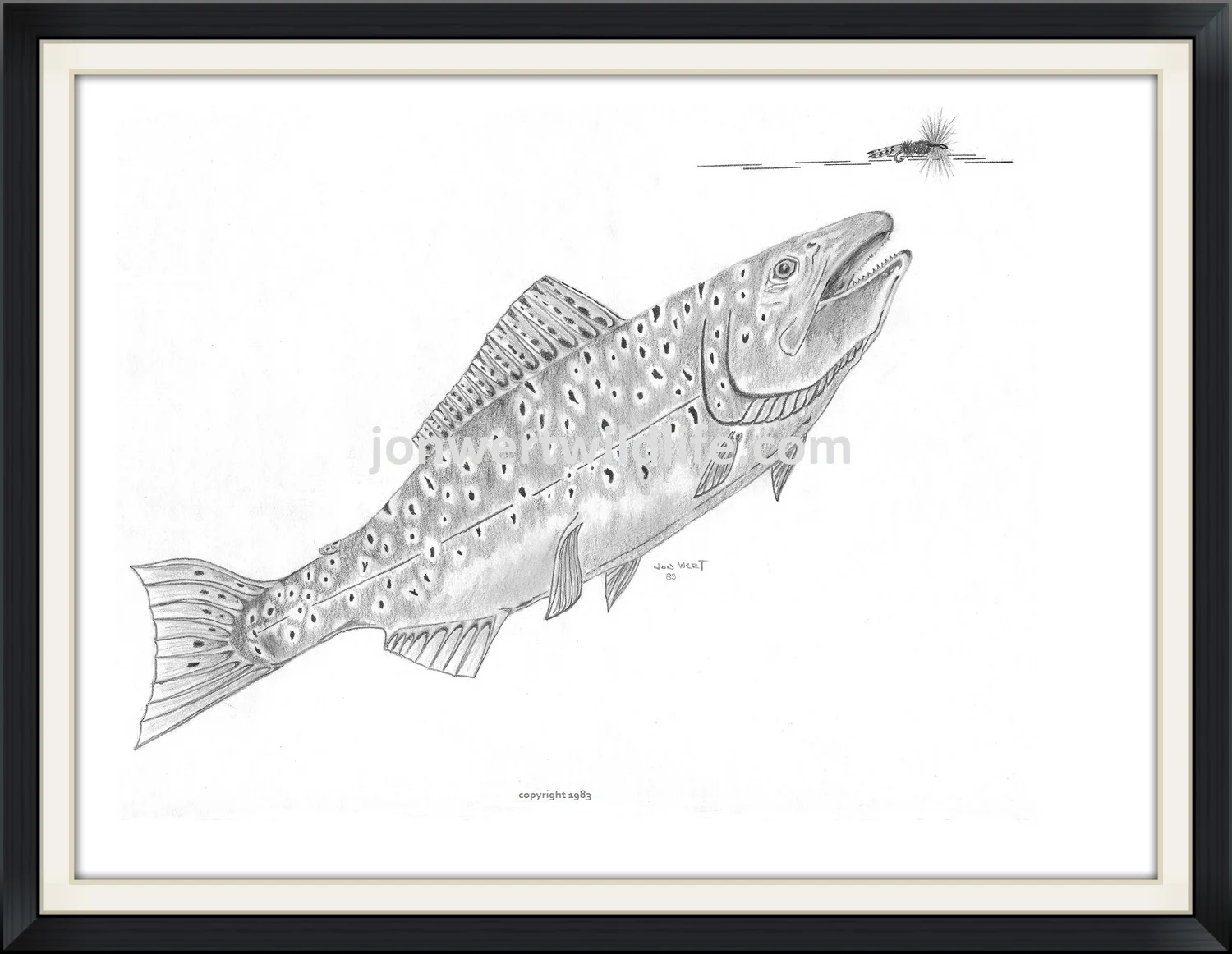    Brown Trout   