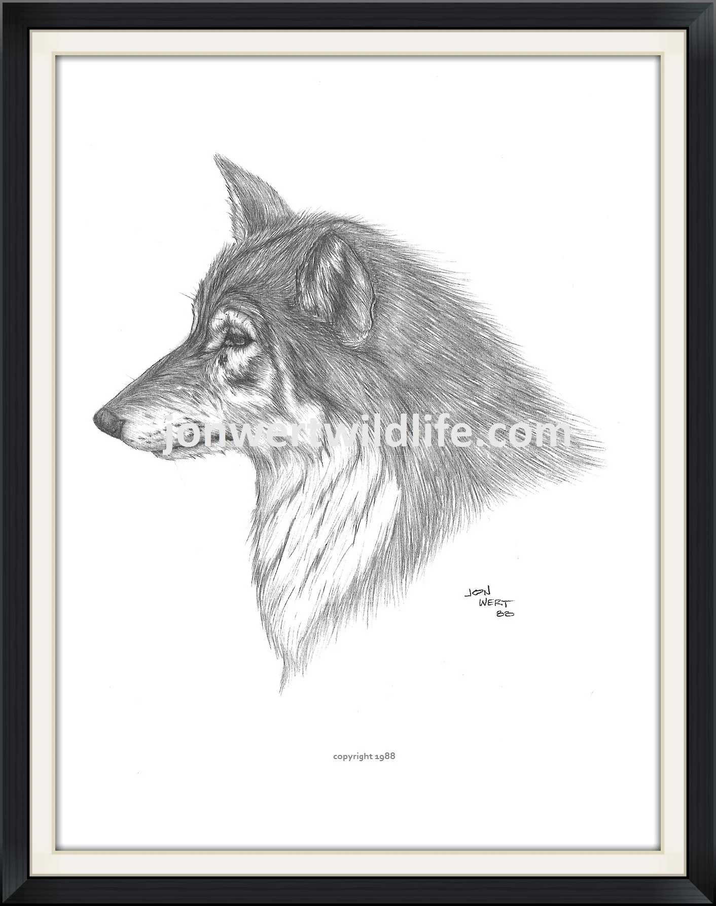    Wolf   