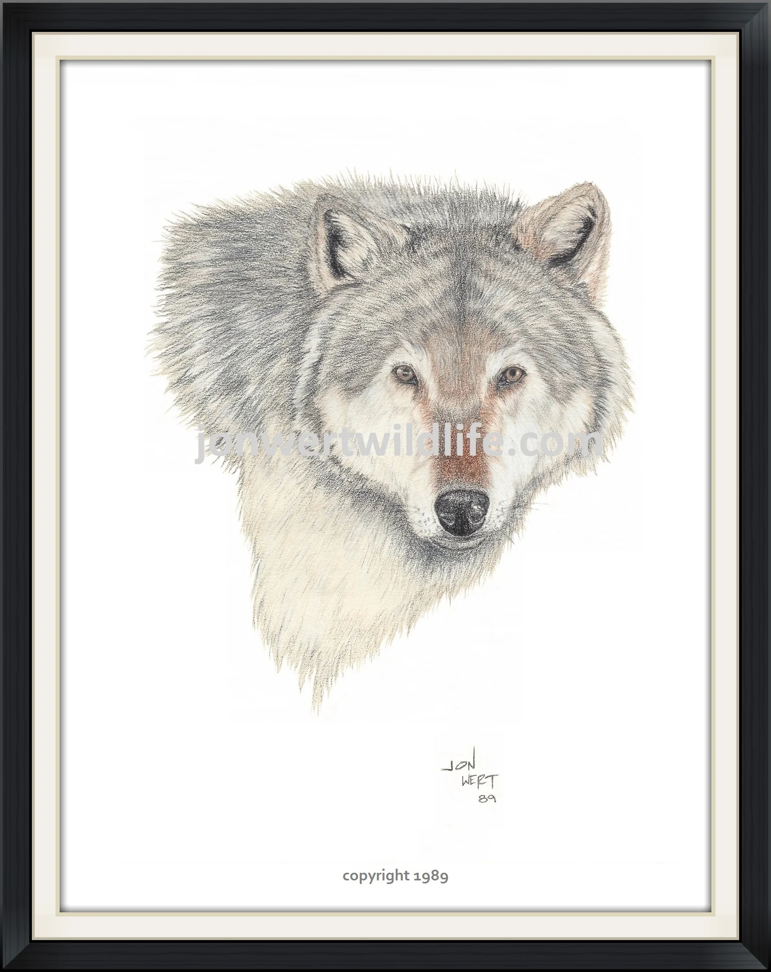    Wolf Face   