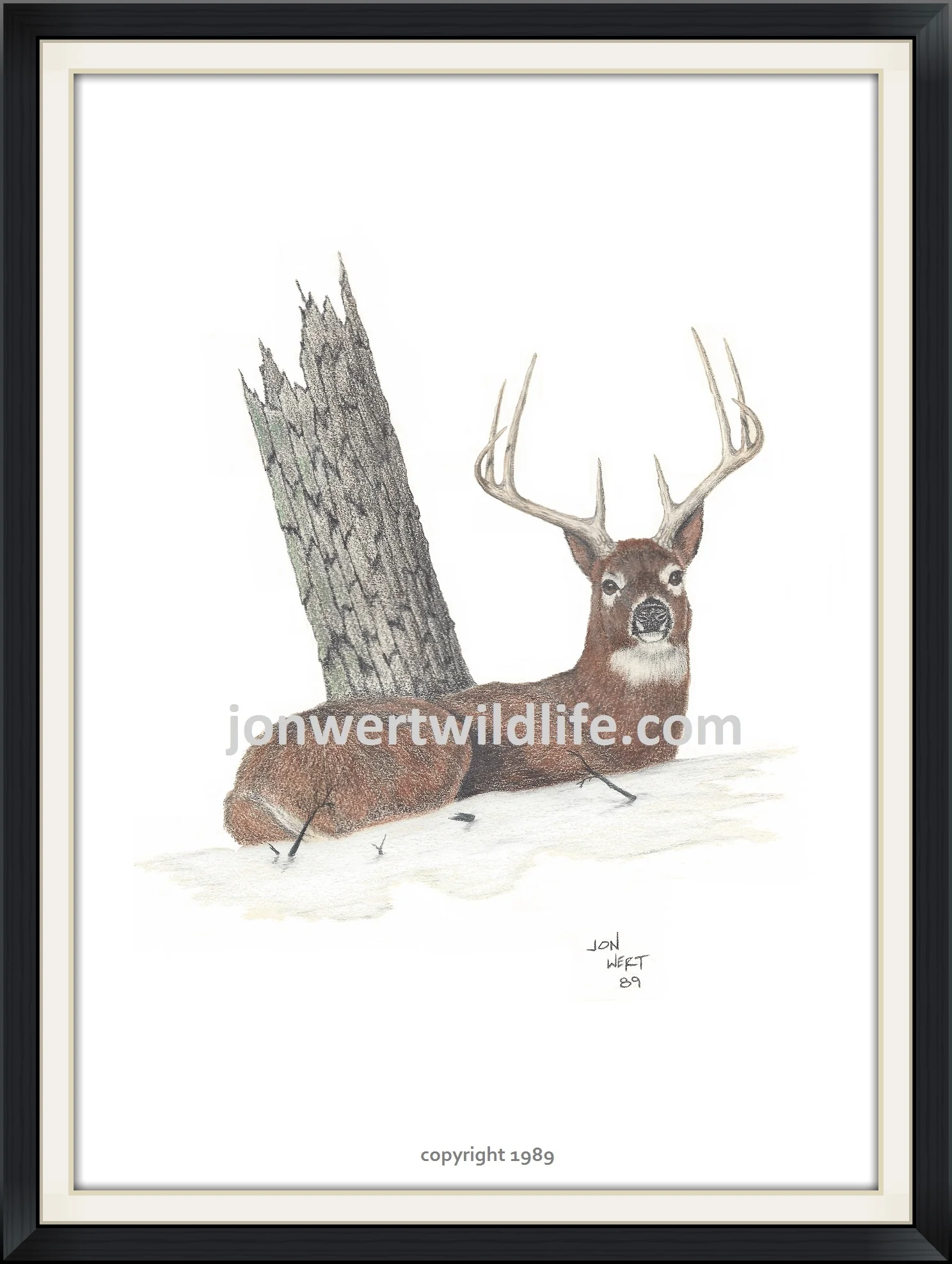 LAYING BUCK - Copy.jpg