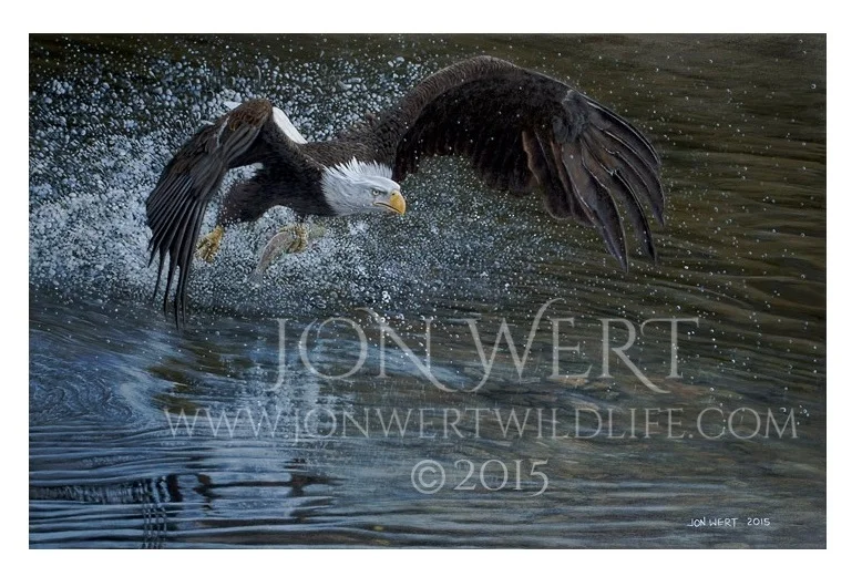 Catch of the Day_720x466_72ppi copy.jpg